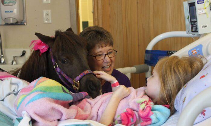 An Illinois Mother Spreads Joy by Bringing Pony Comfort Animals to Nursing Homes and Schools
