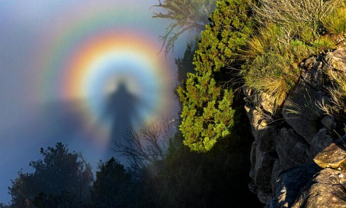 Weather Photographer of the Year 2022: Spectacular Photos Celebrate Nature’s Mystic Moods