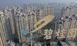 Chinese Real Estate Giant Country Garden Downgraded to ‘Hold’ with Debts Risks