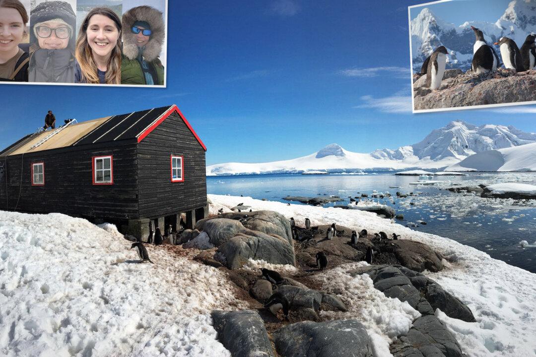 4 Women Depart UK for Antarctic to Run World’s Most Remote Post Office—and Count Penguins—for Winter