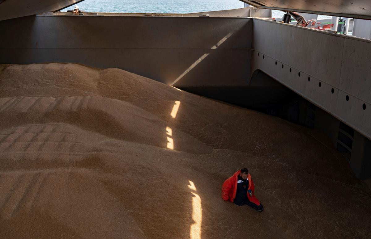Russia Halts Black Sea Grain Deal After Attack, Points Finger at UK