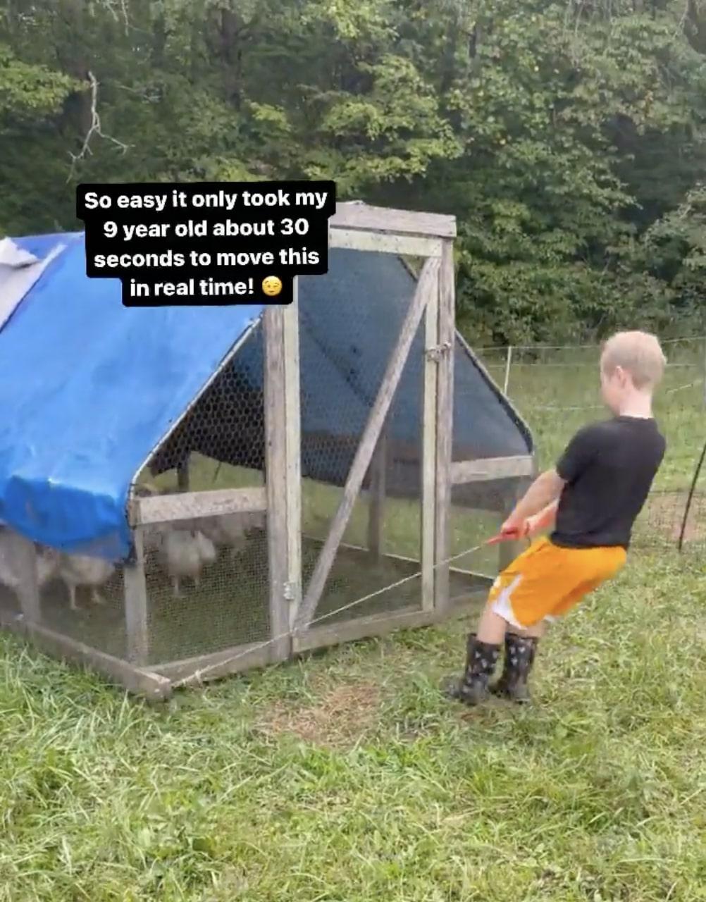 Cortney and Samuel Black's son moves the chicken coop. (Courtesy of Cortney Black)