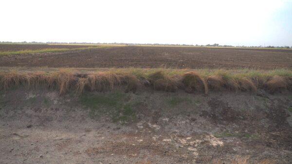 A dried-up creekbed on Rep. Doug LaMalfa's (R-Calif.) property in California's Central Valley on Sept. 17, 2022. (The Epoch Times)