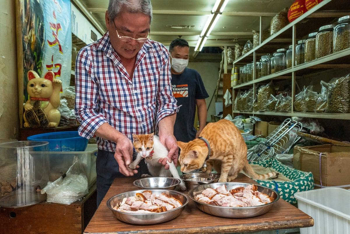 Brother Wen, the owner of the herbal medicine shop, held a "wedding" for the two cats in his shop and took the opportunity to invite the neighbors to a gathering. (Courtesy of Jonas Chan)