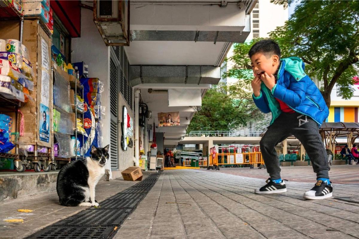 Jonas often visits the old districts of Hong Kong to look for cats and has photographed many interesting pictures of people interacting with cats. (Courtesy of Jonas Chan)