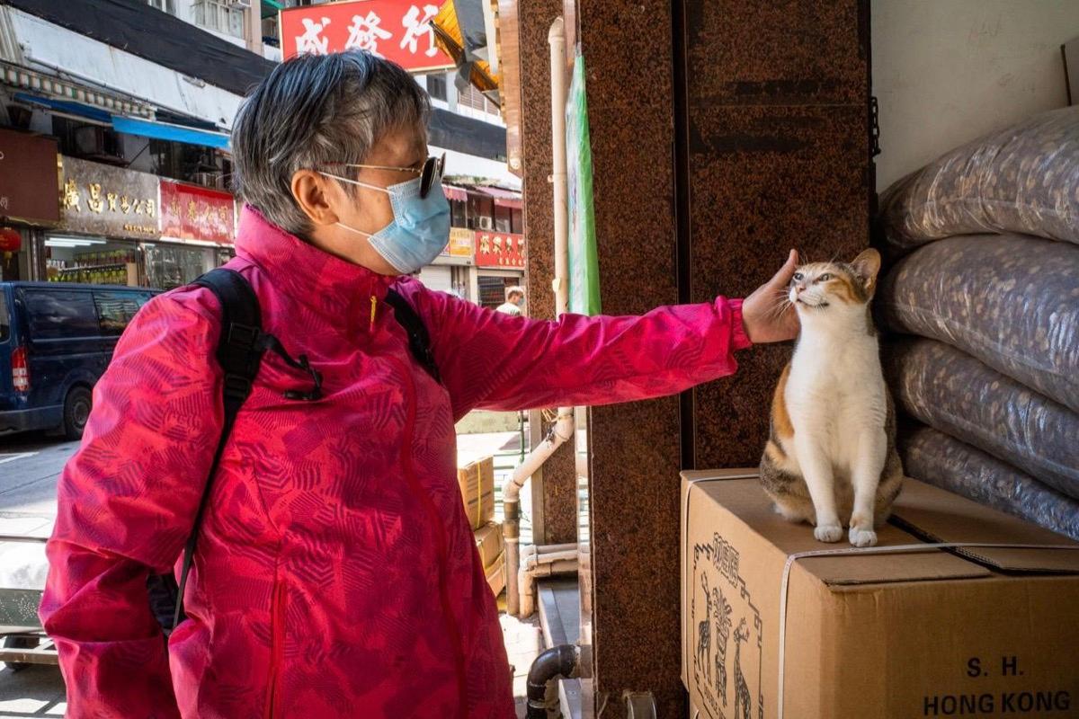 Jonas often visits the old districts to look for cats and has photographed many interesting pictures of people interacting with cats. (Courtesy of Jonas Chan)