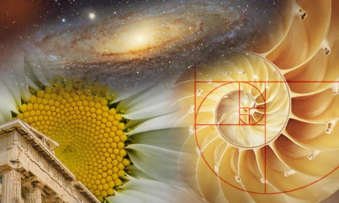 Ancient Architects Used This 'Divine' Math Ratio to Inject Natural Beauty Into Man's Creations—Here's How It Works