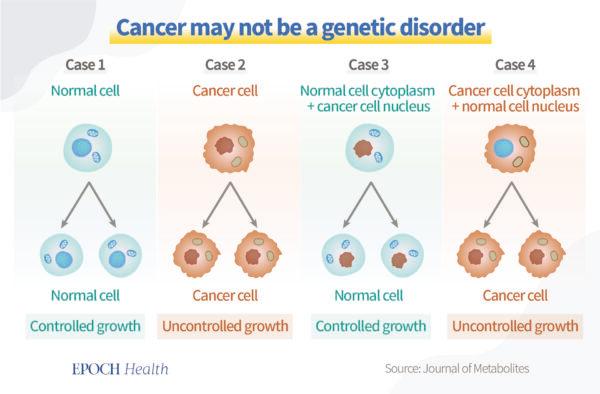 Research suggests that cancer may not be a genetic disorder. (Health 1+1 / The Epoch Times)