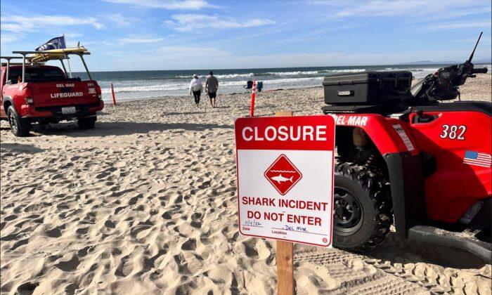 Woman Injured in Apparent Shark Attack in Del Mar