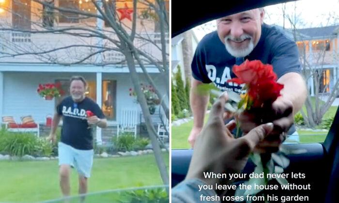 VIDEO: Doting Dad Never Lets His Daughter Leave Without a Fresh Rose From His Garden