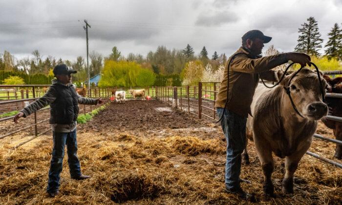 IN-DEPTH: Future of American Farms Uncertain as Aging Farmers Retire Without Successors