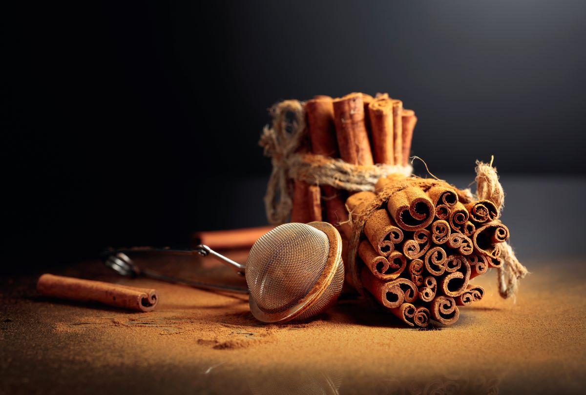 Adding Cinnamon to Your Daily Diet May Help Prevent Alzheimer’s Disease