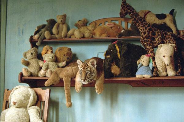 While in the care of the French administrator's son, Sangha plays amid the boy's stuffed animals. (MovieStillsDB)