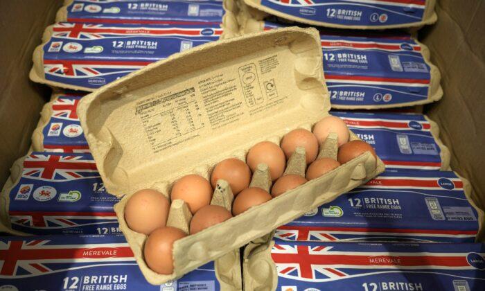 Bird Flu, Inflation, and Low Retail Prices Hit British Egg Producers Amid Shortage Fears