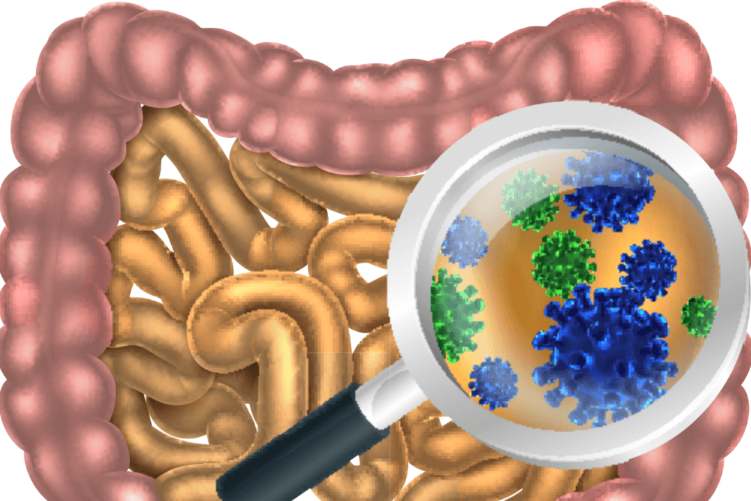 Germ vs. Terrain Theory–Which One Really Determines Your Health?