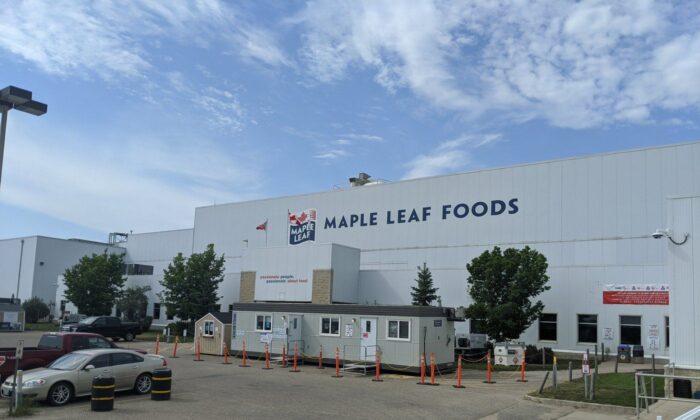 Maple Leaf Foods Takes Plant Protein Business Charge and Reports Q3 Loss, Sales Up