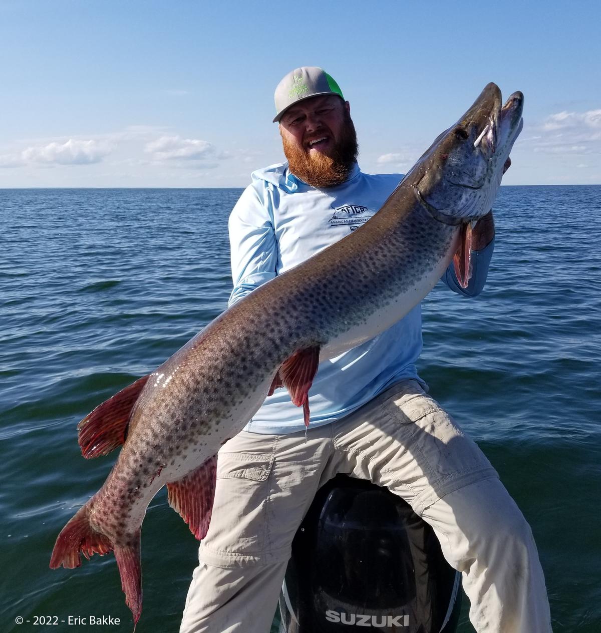 Eric Bakke shows off his state record muskie on June 11, 2022. (Courtesy of Minnesota Department of Natural Resources)