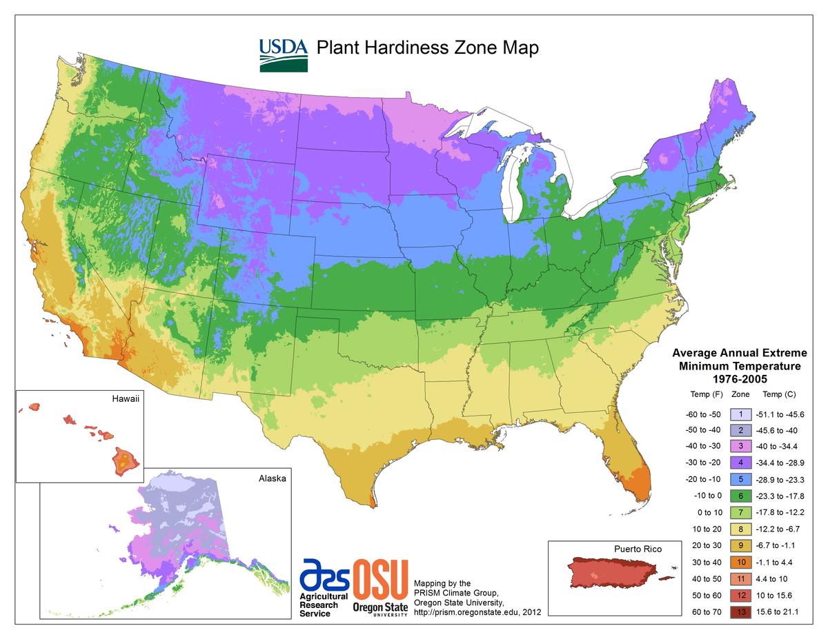 The USDA plant zone hardiness map. (planthardiness.ars.usda.gov)
