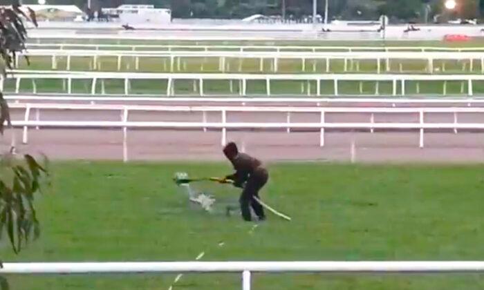 Climate Protestor Dumps 1,000 litres of Unknown Black Substance on Melbourne Cup Racecourse