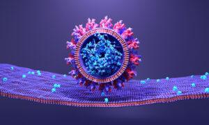 US-China Researchers Proposed Engineering SARS-CoV-2-Like Viruses Before the COVID Pandemic