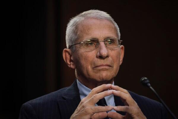 Dr. Anthony Fauci, director of the National Institutes of Allergy and Infectious Diseases, testifies on Capitol Hill in Washington, on Sept. 14, 2022. (Drew Angerer/Getty Images)