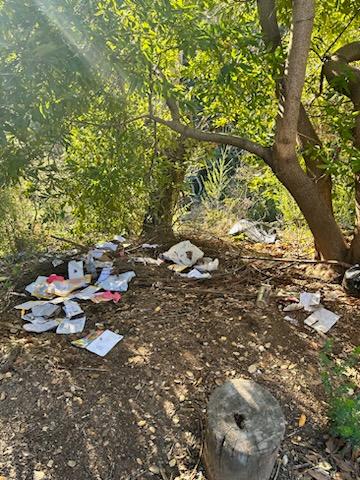 The ravine near California’s Highway 17 in the Santa Cruz Mountains where discarded ballots and other mail were found in November 2022. (Courtesy of Julie Ann Nieman)