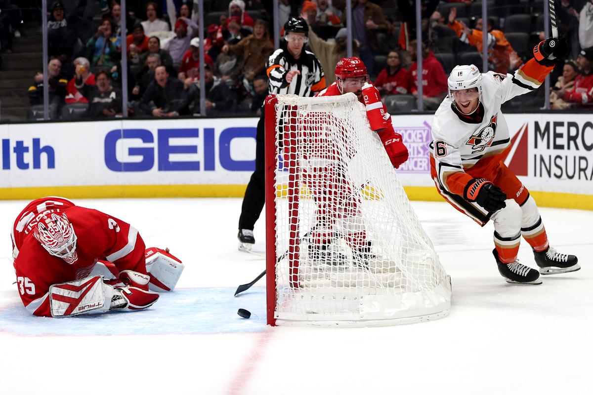 Ducks Beat Wings, Snap 3-Game Skid on Strome’s OT Goal