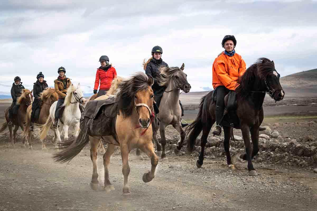 A group of Icelandic horses with riders is crossing the Icelandic highlands. (Courtesy of Celia Cheng)
