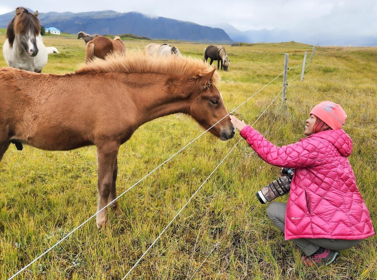 Cheng meets an Icelandic horse. She believes every shot is an “ichi-go ichi-e” so she cherishes every opportunity to go on her photography trip. (Courtesy of Celia Cheng)