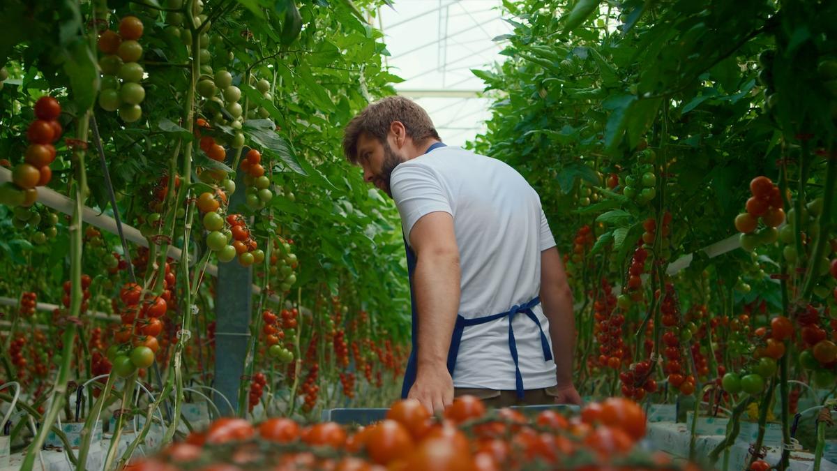 Is the ‘Organic’ Produce You’re Buying Really Organic?