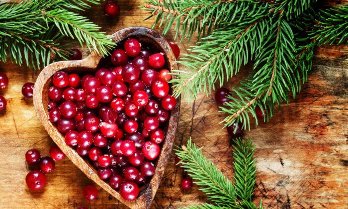 Cranberries Offer Stunning Neuroprotective Benefits, New Study Suggests