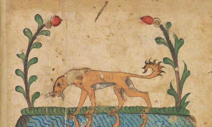 Aesop’s ‘The Dog and His Reflection’: Gratitude and Generosity Are Antidotes to Greed