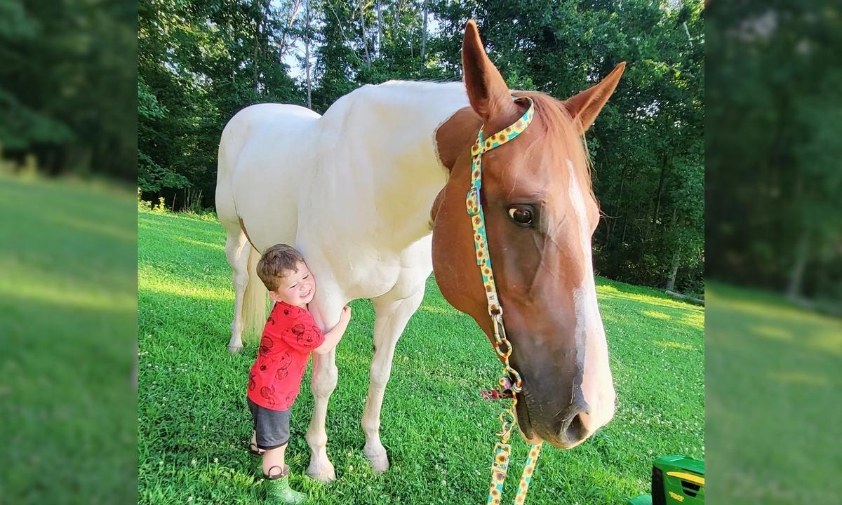 VIDEO: Boy, 3, Shares Special Bond With His Mare, and They Love Exchanging High-Fives