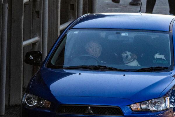 Racehorse trainer Les Bridge sits in his car with his dog during a trackwork session at Royal Randwick Racecourse in Sydney, Australia, on Aug. 13, 2021. (Mark Evans/Getty Images)