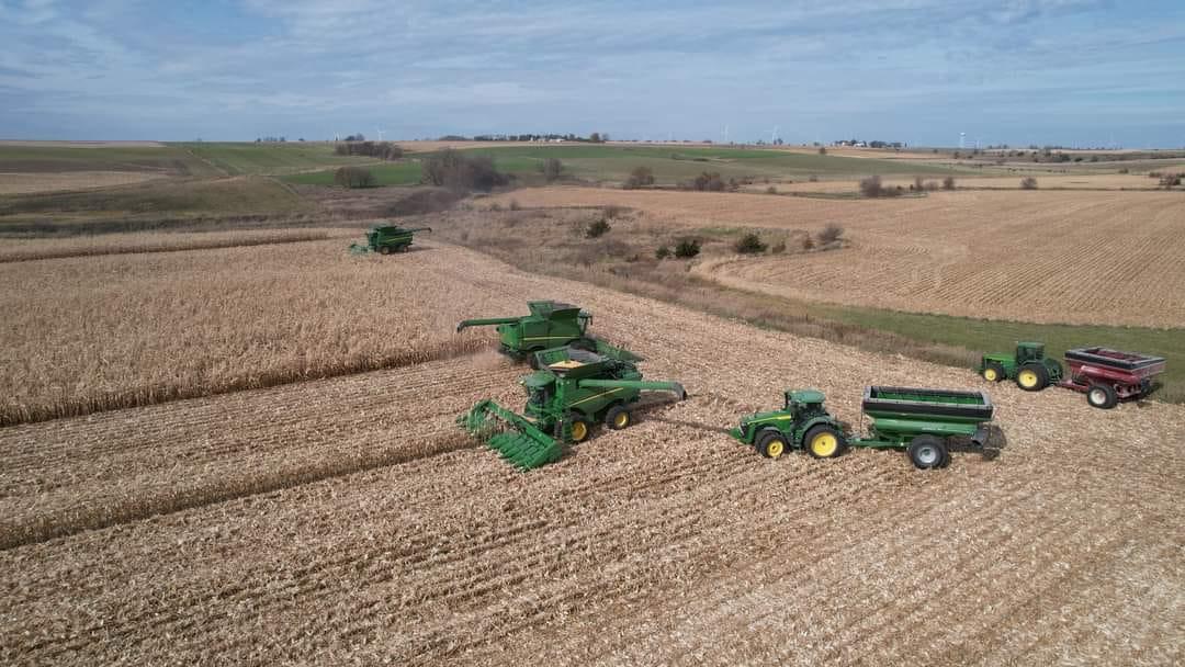 Several dozen farmers help harvest crops on Paul Baker's corn field. (Courtesy of Melissa Baker)