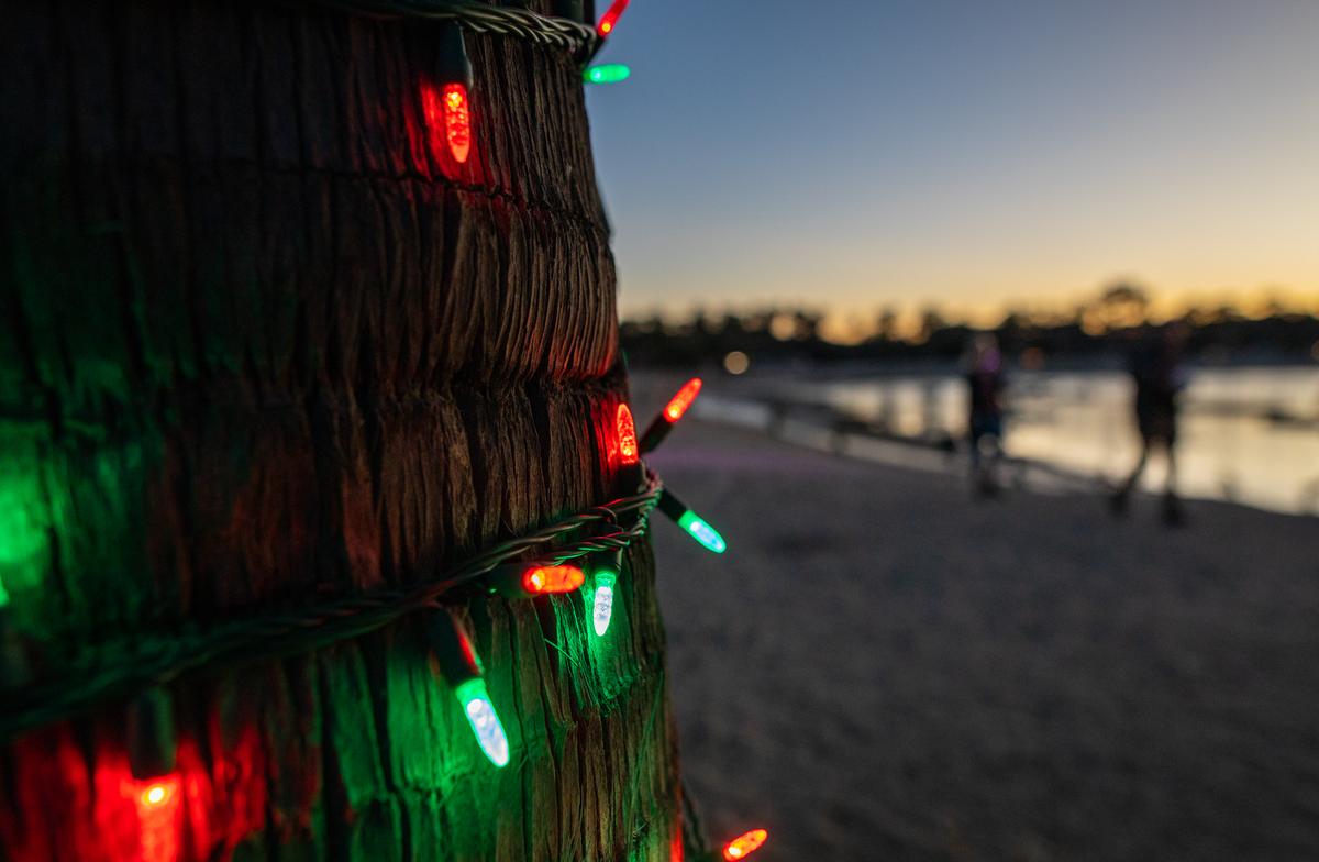 Fun Things to Do in Orange County This Weekend