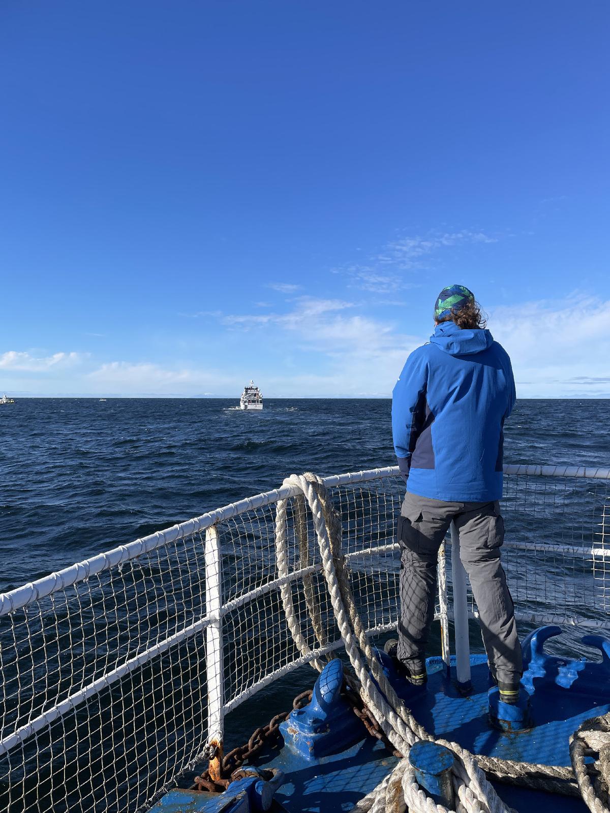 A visitor watches the water for white-beaked dolphins and minke whales off the coast of Reykjavik, Iceland. (Photo courtesy of Lesley Frederikson)