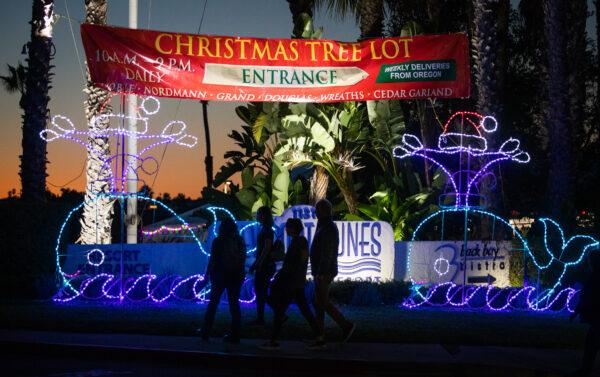 The Christmas tree lot at the 32nd "Lighting of the Bay" at the Newport Dunes Resort in Newport Beach, Calif., on Nov. 25, 2022. (John Fredricks/The Epoch Times)