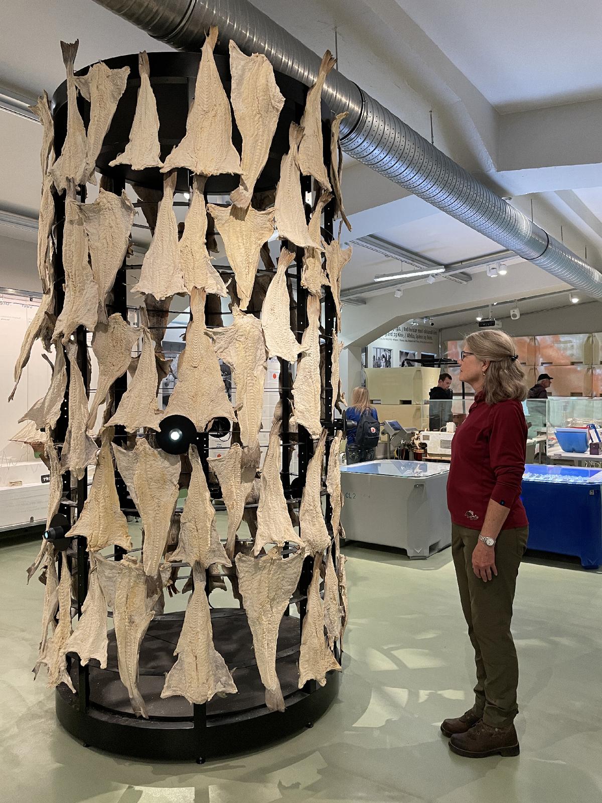 A visitor at Reykjavik’s Maritime Museum stands by a display of salted fish like those her grandparents once enjoyed. (Photo courtesy of Lesley Frederikson)
