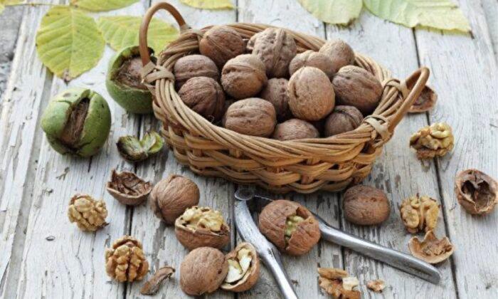 Study: Eating Walnuts Reduces Cardiovascular Disease Risks and Enhances Longevity