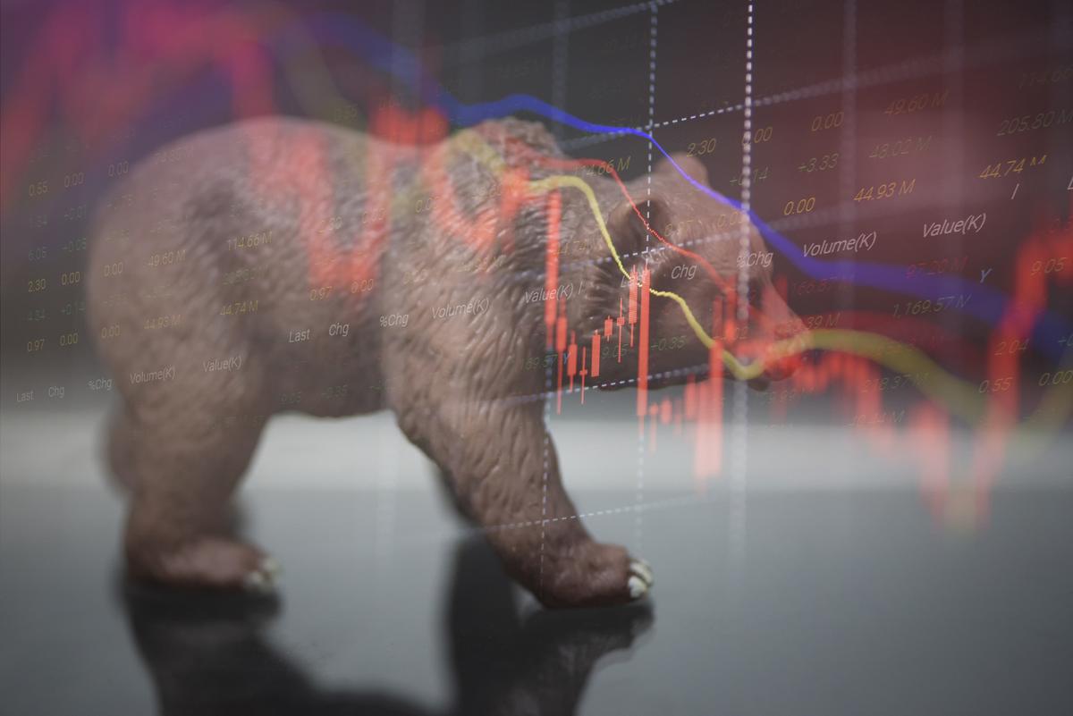 Investing: Learning to Live With the Bear