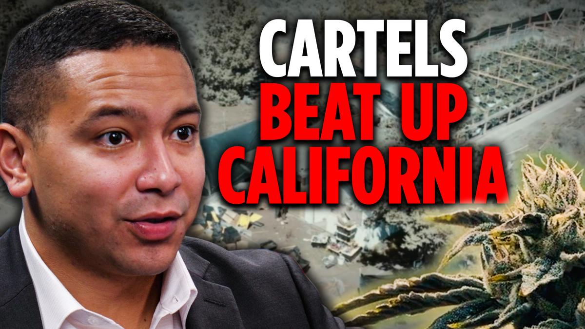 How Cartels Successfully Take Over Northern California | Jorge Ventura