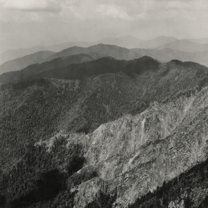 The Epoch Times