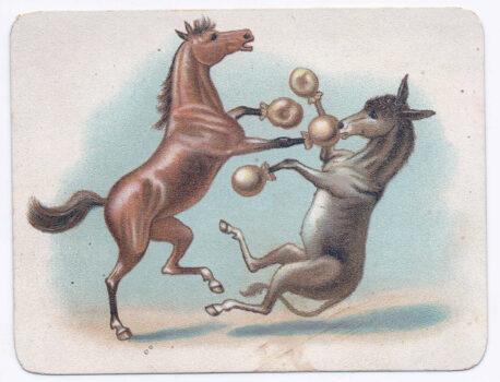 A Lancaster trading card depicting Shoofly the Boxing Mule. (Courtesy of William Woys Weaver)