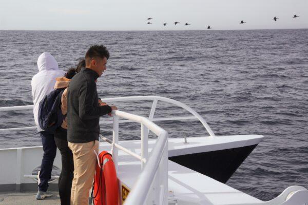 Passengers watch for dolphins from the bow of the Blackfin. (Courtesy of Karen Gough)
