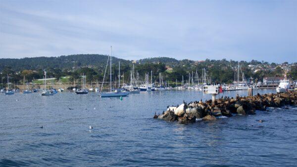 The Monterey harbor and coast guard breakwater. (Courtesy of Karen Gough)
