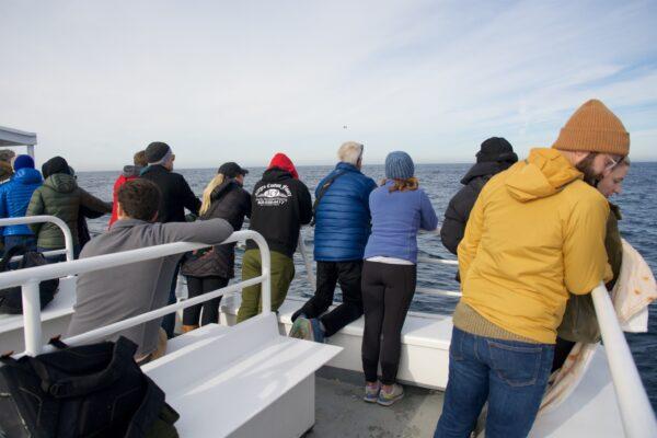 Passengers onboard the Blackfin keep an eye out for whales and otters. (Courtesy of Karen Gough)