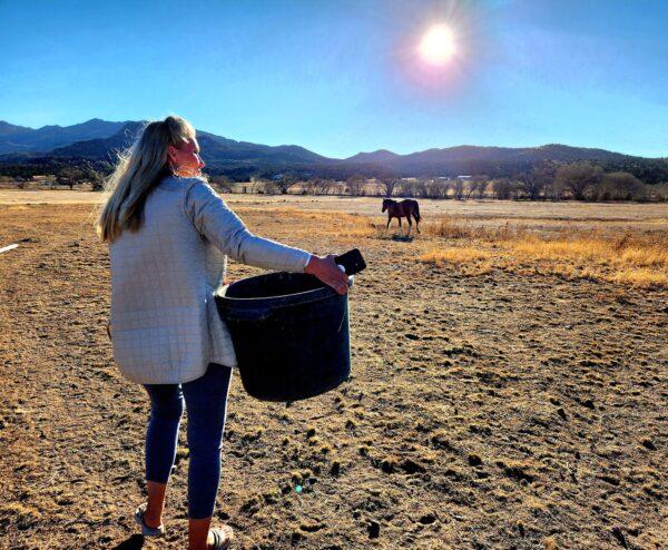 Simone Netherlands, president of the Salt River Wild Horse Management Group in Prescott, Ariz., takes a hay bucket to recently rescued Alpine wild horses housed at the group's sanctuary. (Allan Stein/The Epoch Times)