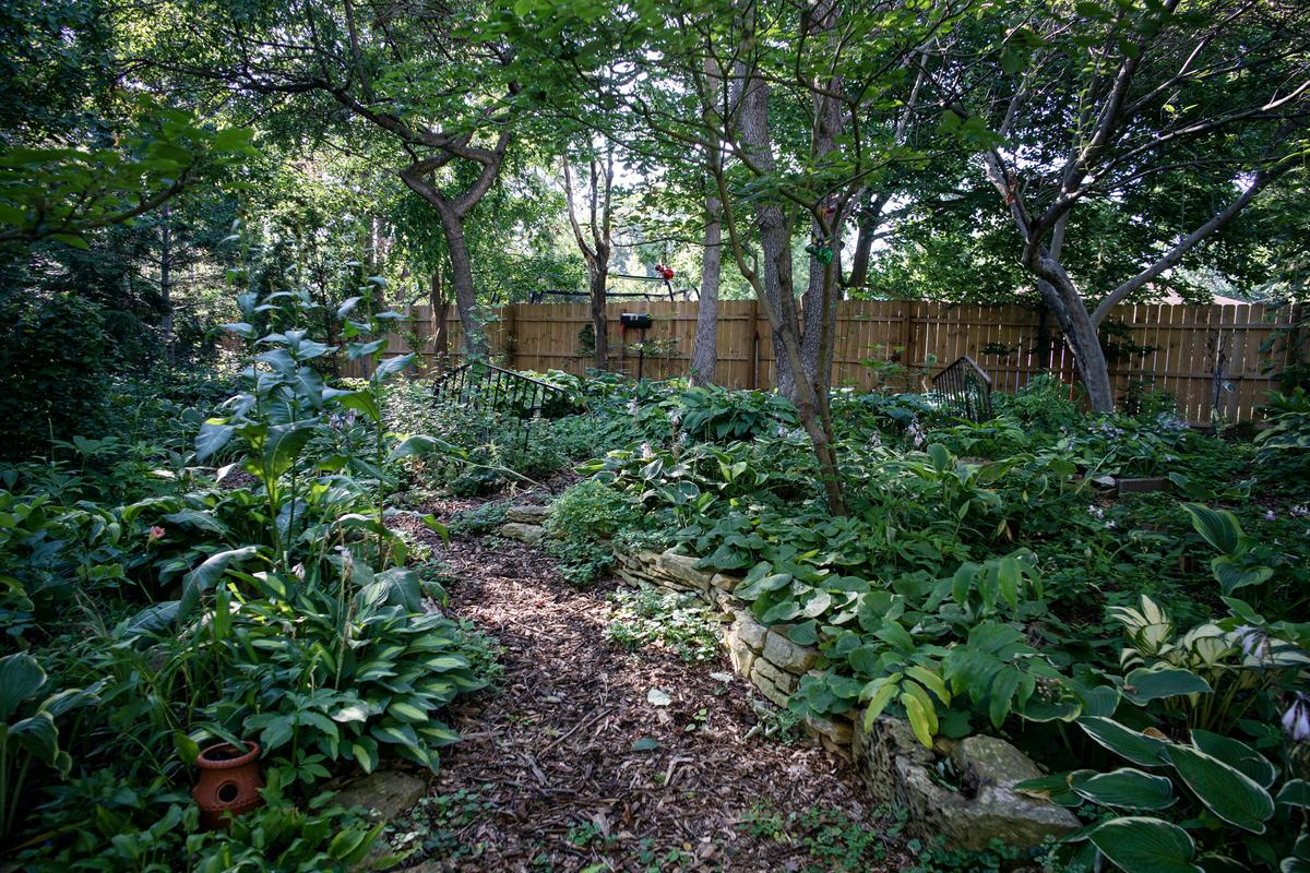 Beautiful Garden contest winner Chuck Levine, a retired horticulture educator, maintains a 1-acre garden that is a sanctuary in the city. Located just south of Highway 36, this garden contains his life collection of plants. (Richard Tsong-Taatarii/Minneapolis Star Tribune/TNS)