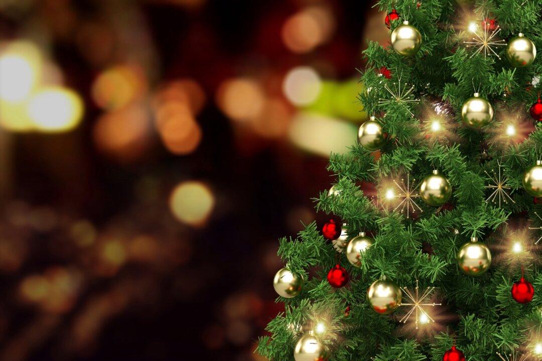 American Christmas, American New Year